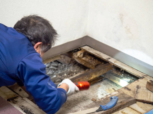 Best Water Damage Restoration  in York, SC